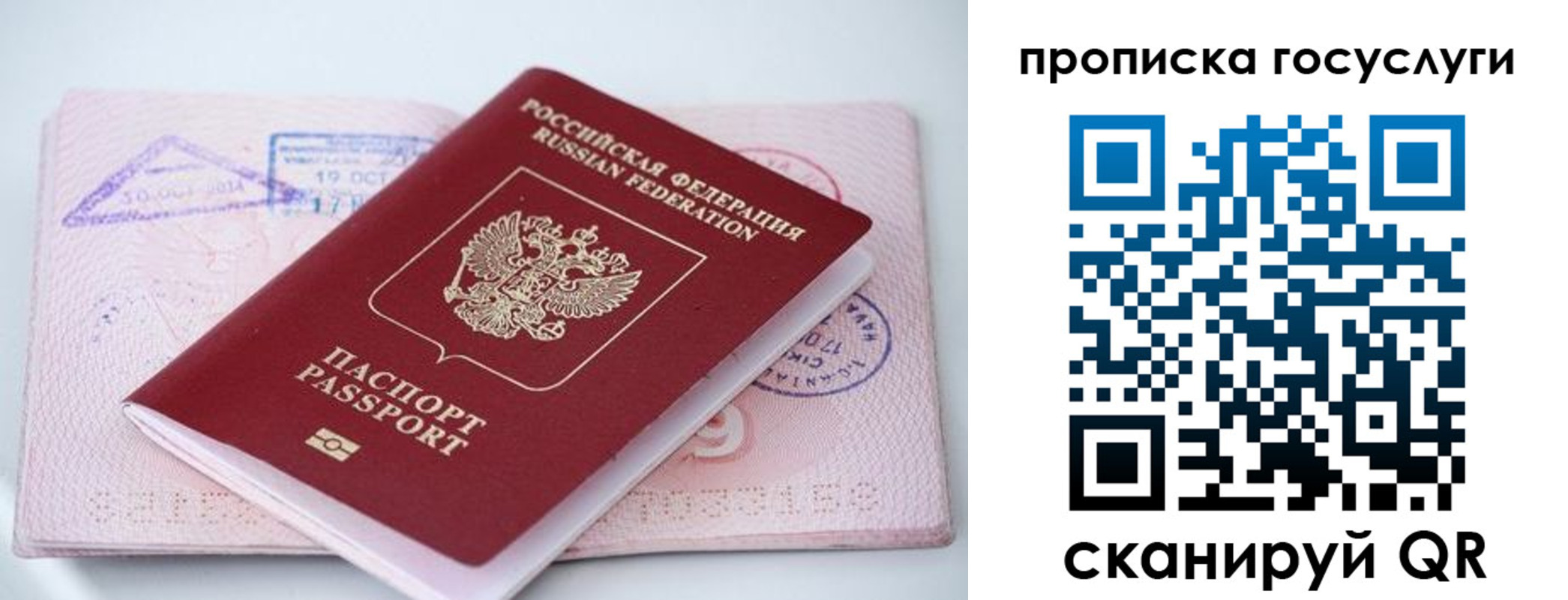 прописка законно в Луховицах